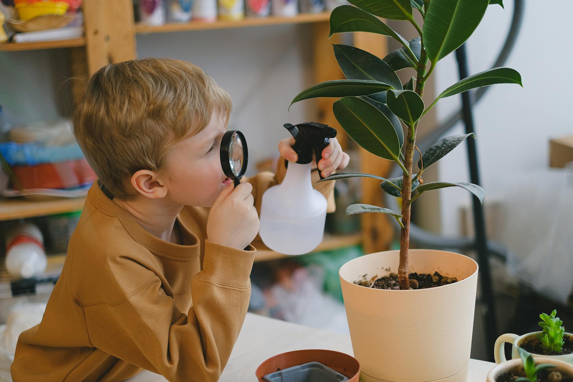Wyzwania związane z edukacją domową